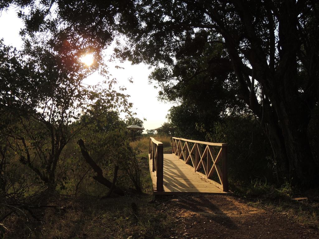 Loyk Mara Luxury Camp Hotel Maasai Mara Kültér fotó