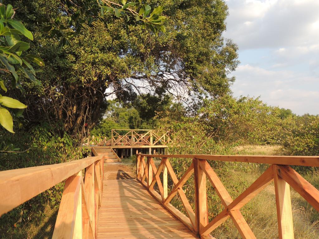 Loyk Mara Luxury Camp Hotel Maasai Mara Kültér fotó