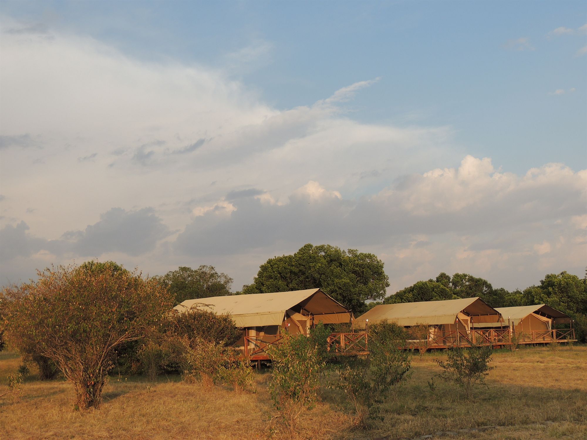 Loyk Mara Luxury Camp Hotel Maasai Mara Kültér fotó