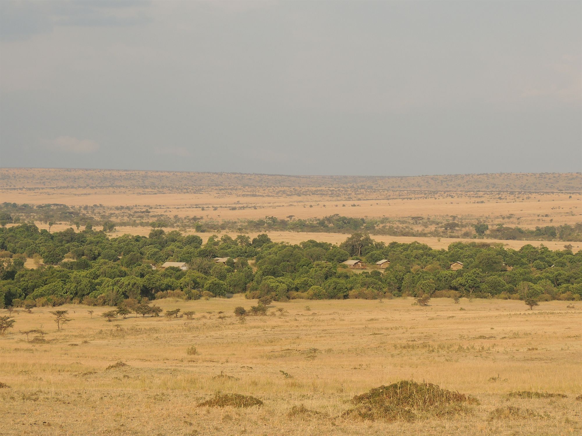 Loyk Mara Luxury Camp Hotel Maasai Mara Kültér fotó